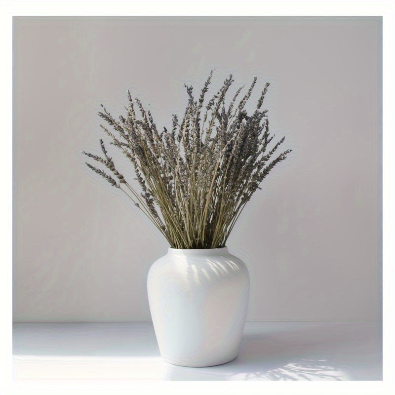 Modern Ceramic Bud Vases, Large Round Belly Flower Vase for Home Decor