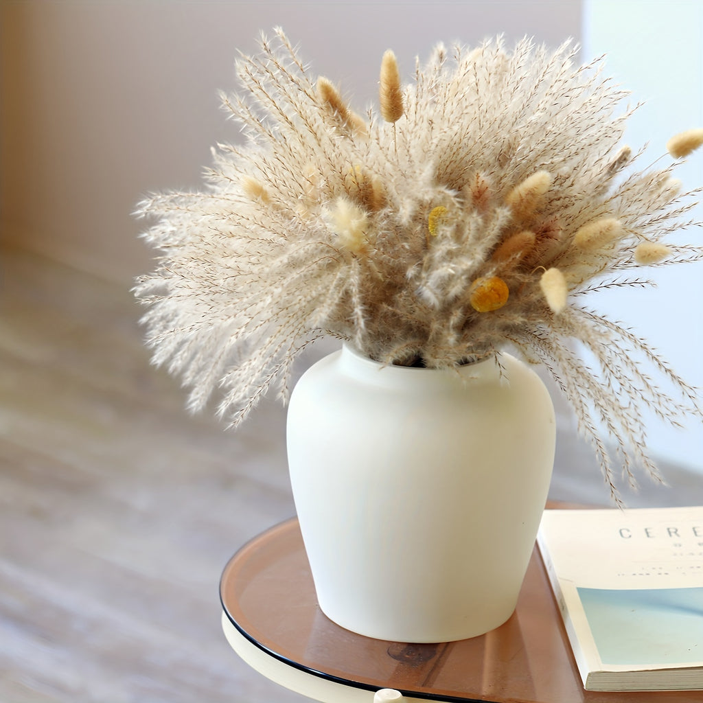 Modern Ceramic Bud Vases, Large Round Belly Flower Vase for Home Decor